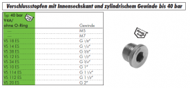 Verschlussstopfen V4A mit Innensechskant und zylindrischem Gewinde, alle Größen